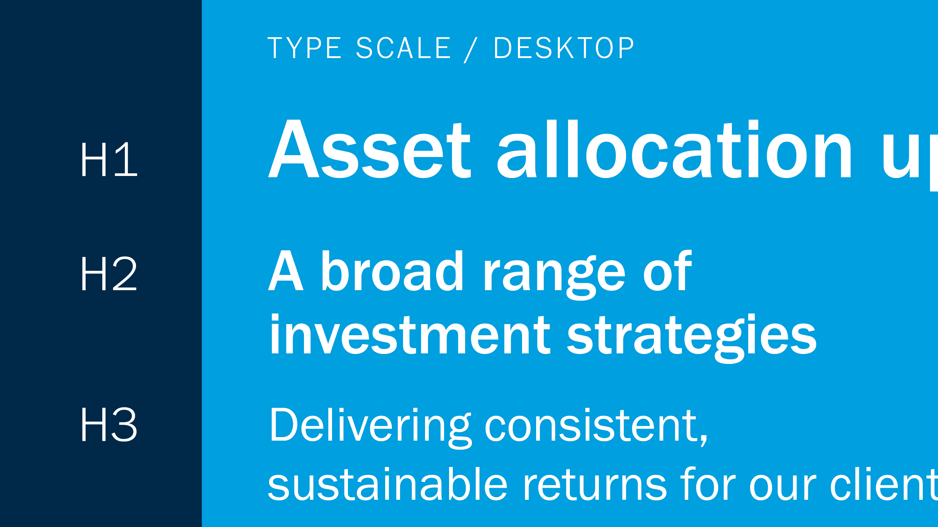 Gallery image showcasing CT Type