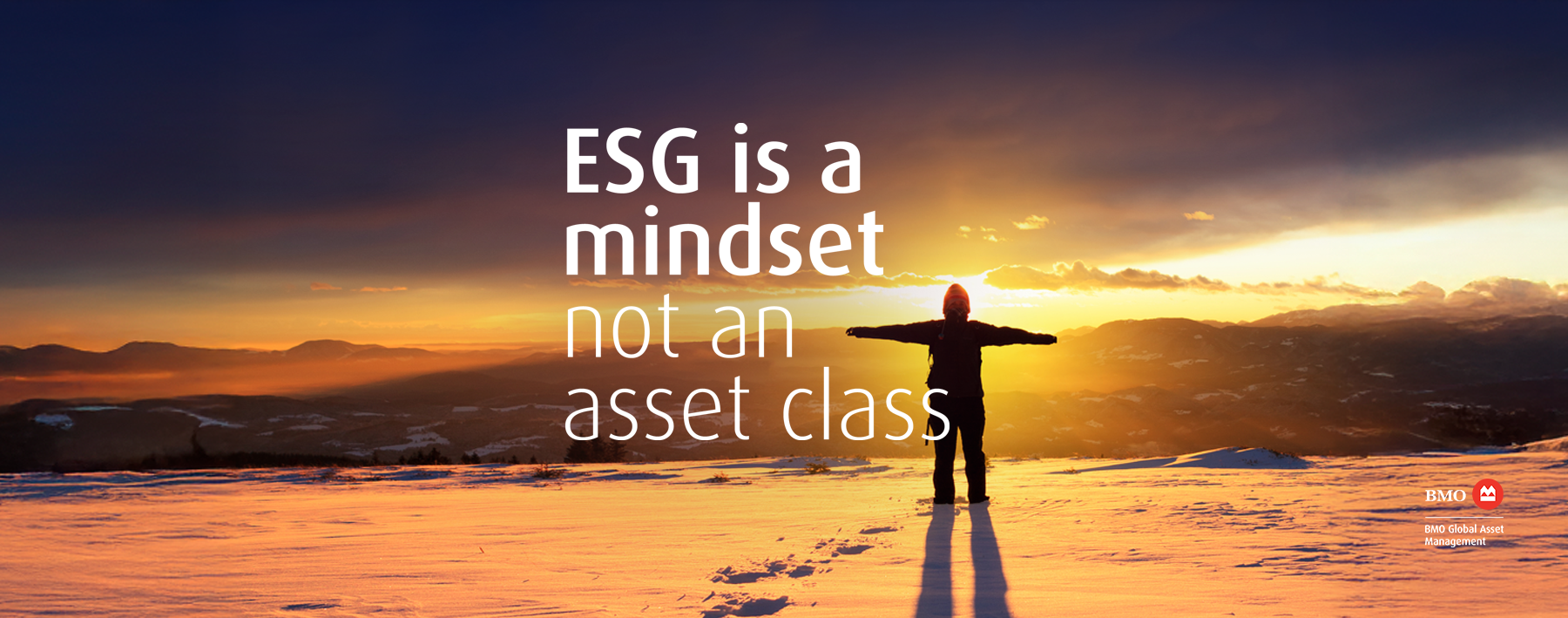 BMO Global Asset Management ESG